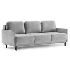 Sofa Homede Lapi, šviesiai pilka kaina ir informacija | Sofos | pigu.lt