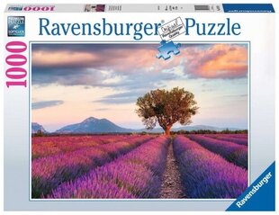 Ravensburger - Puzzle 1000 Lavender Field In The Golden Hour цена и информация | Пазлы | pigu.lt