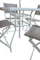 Sodo komplektas, stalas su 4 kėdėmis kaina ir informacija | Lauko baldų komplektai | pigu.lt