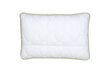 Comco ergonominė pagalvė Aloe Vera kaina ir informacija | Pagalvės | pigu.lt