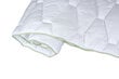 Comco antklodė Aloe Vera Premium, 220x200 cm kaina ir informacija | Antklodės | pigu.lt
