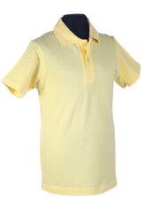 Футболка поло с короткими рукавами, светло-желтая цена и информация | Рубашки для мальчиков | pigu.lt