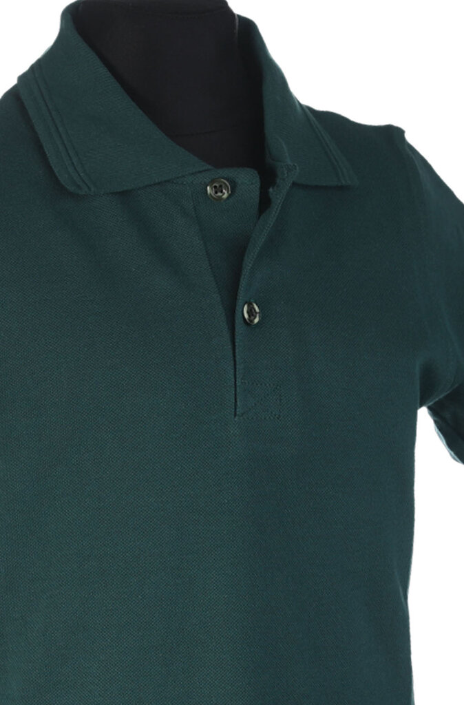 Polo marškinėliai trumpomis rankovėmis, tamsiai žali kaina ir informacija | Marškinėliai berniukams | pigu.lt