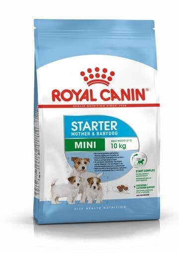 Royal Canin Mini Starter sausas maistas šuniukams, 8 kg цена и информация | Sausas maistas šunims | pigu.lt