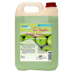 Kремовое мыло с антибактериальным эффектом EWOL EXTRA S Apple, 5 л цена и информация | Первая помощь | pigu.lt