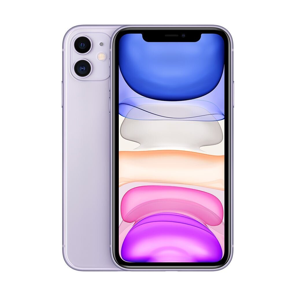 iPhone 11 64GB Purple (atnaujintas, būklė A) цена и информация | Mobilieji telefonai | pigu.lt