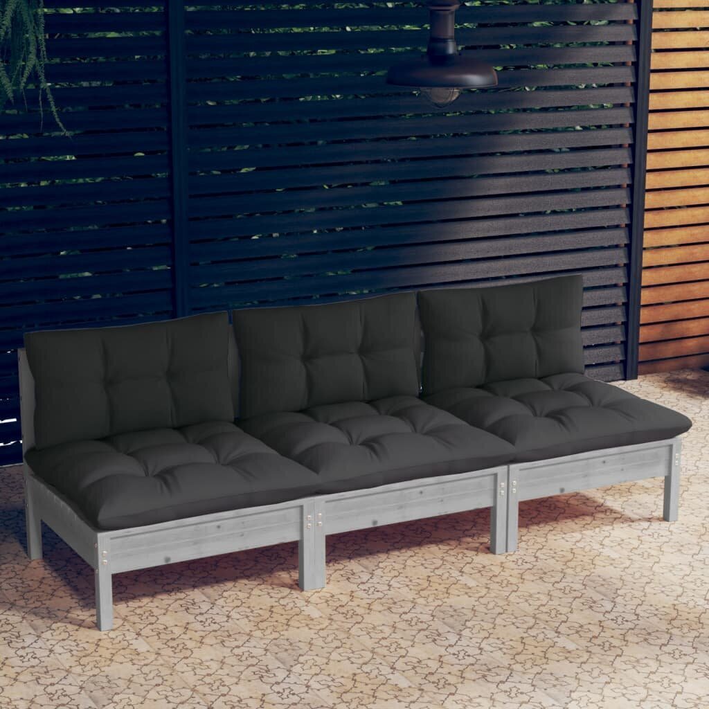 Trivietė sodo sofa su antracito pagalvėlėmis, pilka цена и информация | Lauko kėdės, foteliai, pufai | pigu.lt