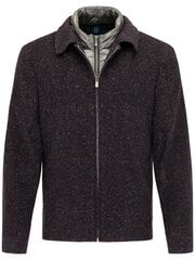 Мужской пиджак Pierre Cardin 40423/000/39185 цена и информация | Pierre Cardin Мужская одежда | pigu.lt
