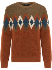 Мужской свитер Pierre Cardin 55680/000/12563 цена и информация | Мужские свитера | pigu.lt