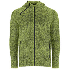 Мужской свитер EVEREST, зеленый цена и информация | Мужские толстовки | pigu.lt