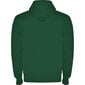 Vyriškas džemperis Montblanct, tamsiai žalias kaina ir informacija | Džemperiai vyrams | pigu.lt