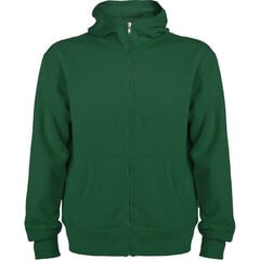 Мужской худи свитер MONTBLANC, темно-зеленый цена и информация | Мужские толстовки | pigu.lt