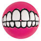 Rogz Grinz Pink rožinis kamuoliukas, 49mm kaina ir informacija | Žaislai šunims | pigu.lt