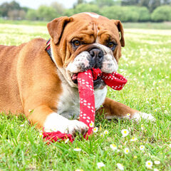 Rogz Scrubz Large Red raudona virvė, 54cm kaina ir informacija | Žaislai šunims | pigu.lt