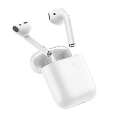 Bluetooth наушник Borofone BW01 Plus TWS белый цена и информация | Теплая повязка на уши, черная | pigu.lt