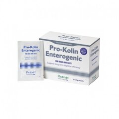 Пищевая добавка для собак и кошек Protexin Pro-Kolin Enterogenic, 4 г, 3 шт. цена и информация | Витамины, добавки, средства от паразитов для собак | pigu.lt