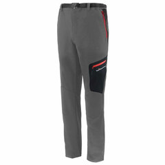 Длинные спортивные штаны Joluvi Topaz M Мужской Темно-серый S6442312 цена и информация | Мужская спортивная одежда | pigu.lt