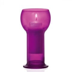Žvakidė iš stiklo Lucilla Fuxia цена и информация | Подсвечники, свечи | pigu.lt