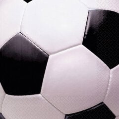 Servetėlės ​​futbolui 33x33cm 16vnt / pak kaina ir informacija | Vienkartiniai indai šventėms | pigu.lt