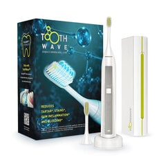 TW1PE3001 цена и информация | Электрические зубные щетки | pigu.lt