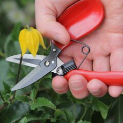 Цветочные ножницы Darlac цена и информация | Садовые инструменты | pigu.lt