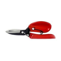 Цветочные ножницы Darlac цена и информация | Садовые инструменты | pigu.lt