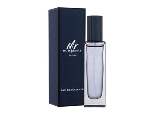 Туалетная вода Burberry Mr Burberry Indigo, 30 мл цена и информация | Мужские духи | pigu.lt