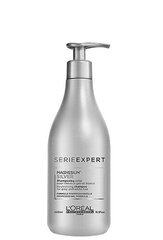 Geltonus tonus neutralizuojantis šampūnas šviesintiems plaukams L'Oreal Professionnel Serie Expert Silver 500 ml kaina ir informacija | Šampūnai | pigu.lt