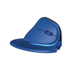 Wireless Ergonomic Mouse Delux M618XSD BT+2.4G RGB синий цена и информация | Мыши | pigu.lt