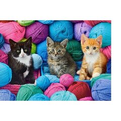 Puzzle 300 pieces Kittens in Yarn kaina ir informacija | Dėlionės (puzzle) | pigu.lt