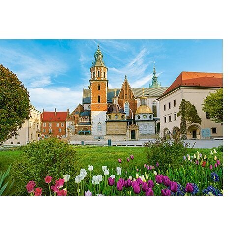 Puzzle 500 pieces Wawel Castle in Krakow, Poland kaina ir informacija | Dėlionės (puzzle) | pigu.lt