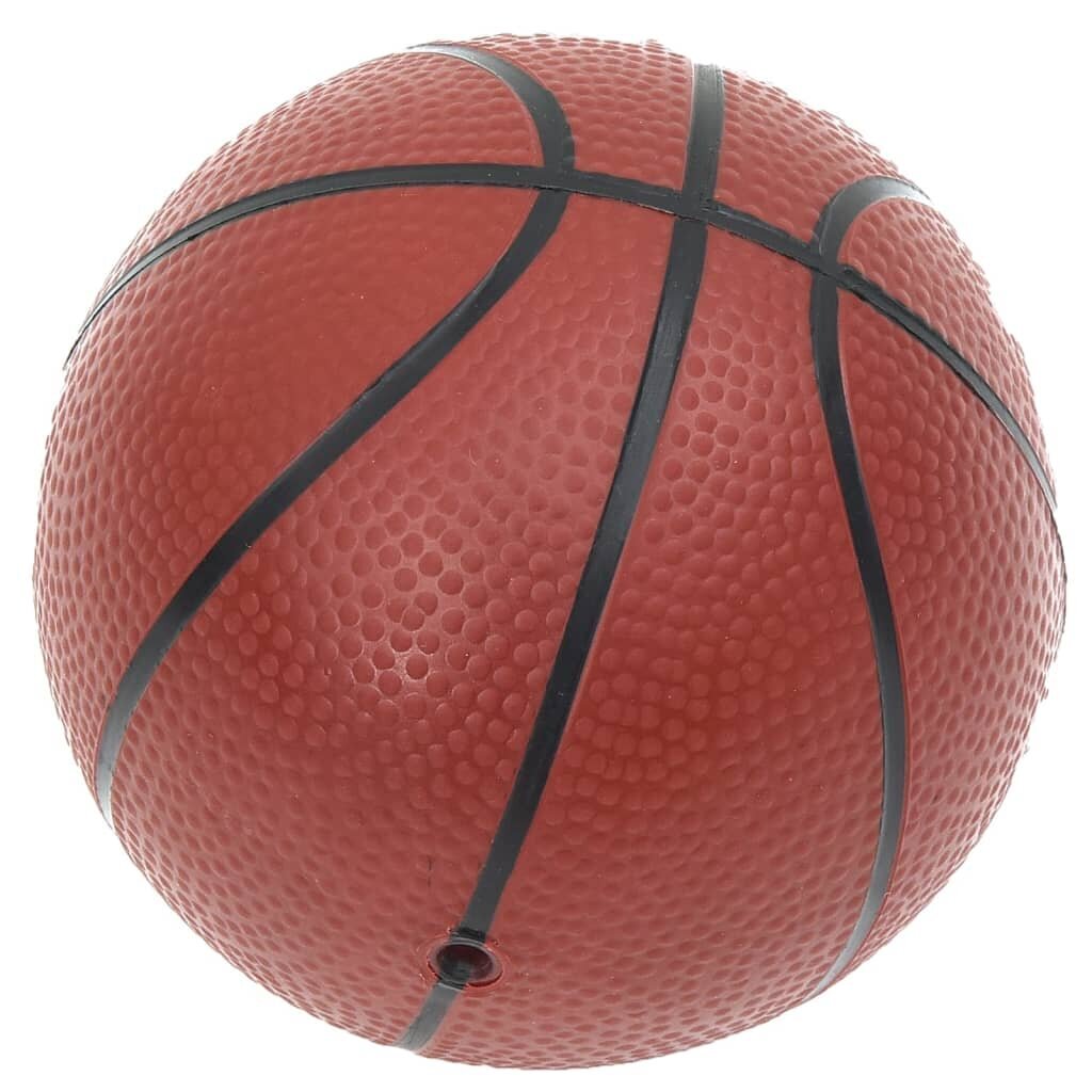 vidaXL Nešiojamas krepšinio rinkinys kaina ir informacija | Žaislai berniukams | pigu.lt