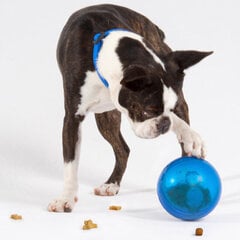 Rogz Tumbler Blue, skanėstus dozuojantis interaktyvus žaislas mėlynos spalvos, 12cm kaina ir informacija | Žaislai šunims | pigu.lt