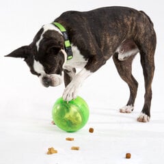 Rogz Tumbler Lime, skanėstus dozuojantis interaktyvus žaislas žalios spalvos, 12cm kaina ir informacija | Žaislai šunims | pigu.lt