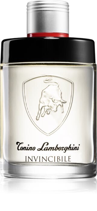 Tualetinis vanduo Tonino Lamborghini Invincibile EDT vyrams 125 ml цена и информация | Kvepalai vyrams | pigu.lt