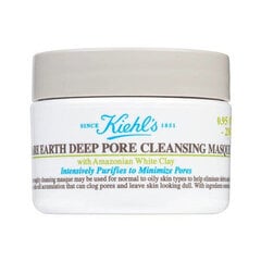 Очищающая маска для лица Kiehl'S Ladies Rare Earth Deep Pore Cleansing Masque, 125 мл цена и информация | Маски для лица, патчи для глаз | pigu.lt