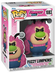 Funko Pop! Fuzzy Lumpkins kaina ir informacija | Žaidėjų atributika | pigu.lt