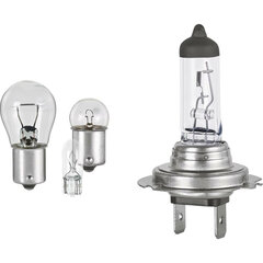 Лампа накаливания FORMULA 1 SK700 цена и информация | Автомобильные лампочки | pigu.lt