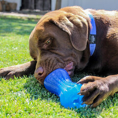 Rogz Yumz Treat Medium Blue синяя кость, 11.5x4 см цена и информация | Игрушки для собак | pigu.lt