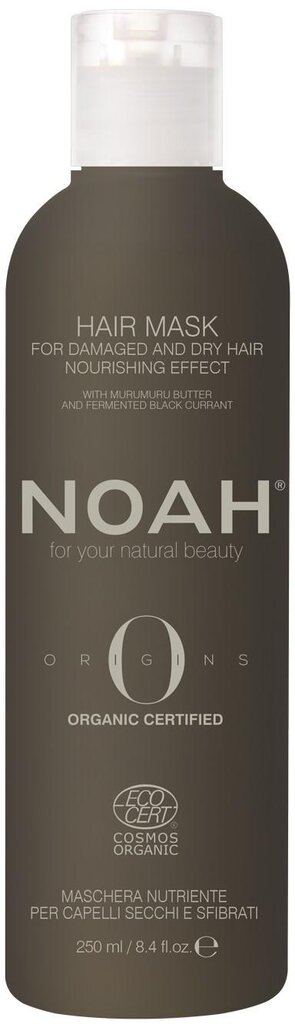 Maitinanti kaukė pažeistiems ir sausiems plaukams Noah Origins, 250 ml kaina ir informacija | Priemonės plaukų stiprinimui | pigu.lt