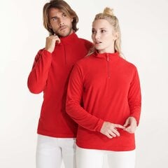 Džemperis moterims, raudonas kaina ir informacija | Džemperiai moterims | pigu.lt