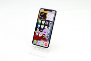 iPhone X 64GB Silver (atnaujintas, būklė A) kaina ir informacija | Mobilieji telefonai | pigu.lt