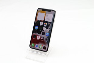 iPhone X 64GB Silver (atnaujintas, būklė A) kaina ir informacija | Mobilieji telefonai | pigu.lt