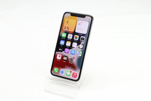 iPhone X 64GB Silver (atnaujintas, būklė A) kaina ir informacija | Mobilieji telefonai | pigu.lt