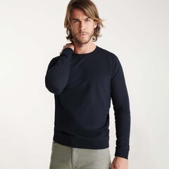 Džemperis, juodas kaina ir informacija | Džemperiai vyrams | pigu.lt