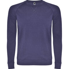 Džemperis vyrams, violetinis kaina ir informacija | Džemperiai vyrams | pigu.lt