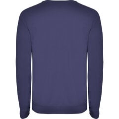 Džemperis vyrams, violetinis kaina ir informacija | Džemperiai vyrams | pigu.lt