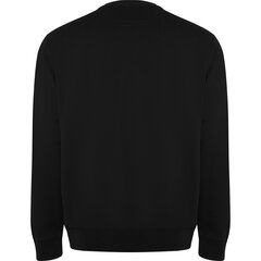 Džemperis vyrams, juodas kaina ir informacija | Džemperiai vyrams | pigu.lt