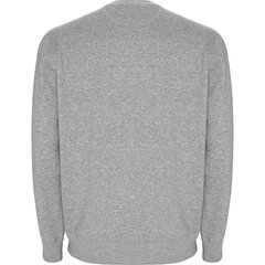 Džemperis vyrams, pilkas kaina ir informacija | Džemperiai vyrams | pigu.lt