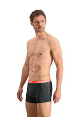 Мужские трусы HEAD BASIC BOXER 2 пары, серые/черные 701202741 011 45868 цена и информация | Трусы | pigu.lt